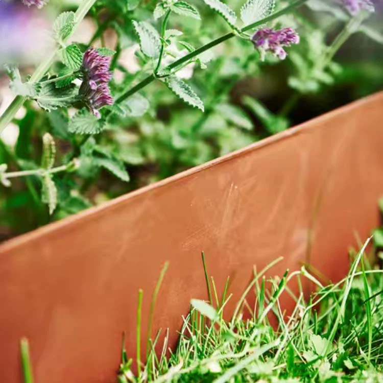 Підняті ліжка зі сталі